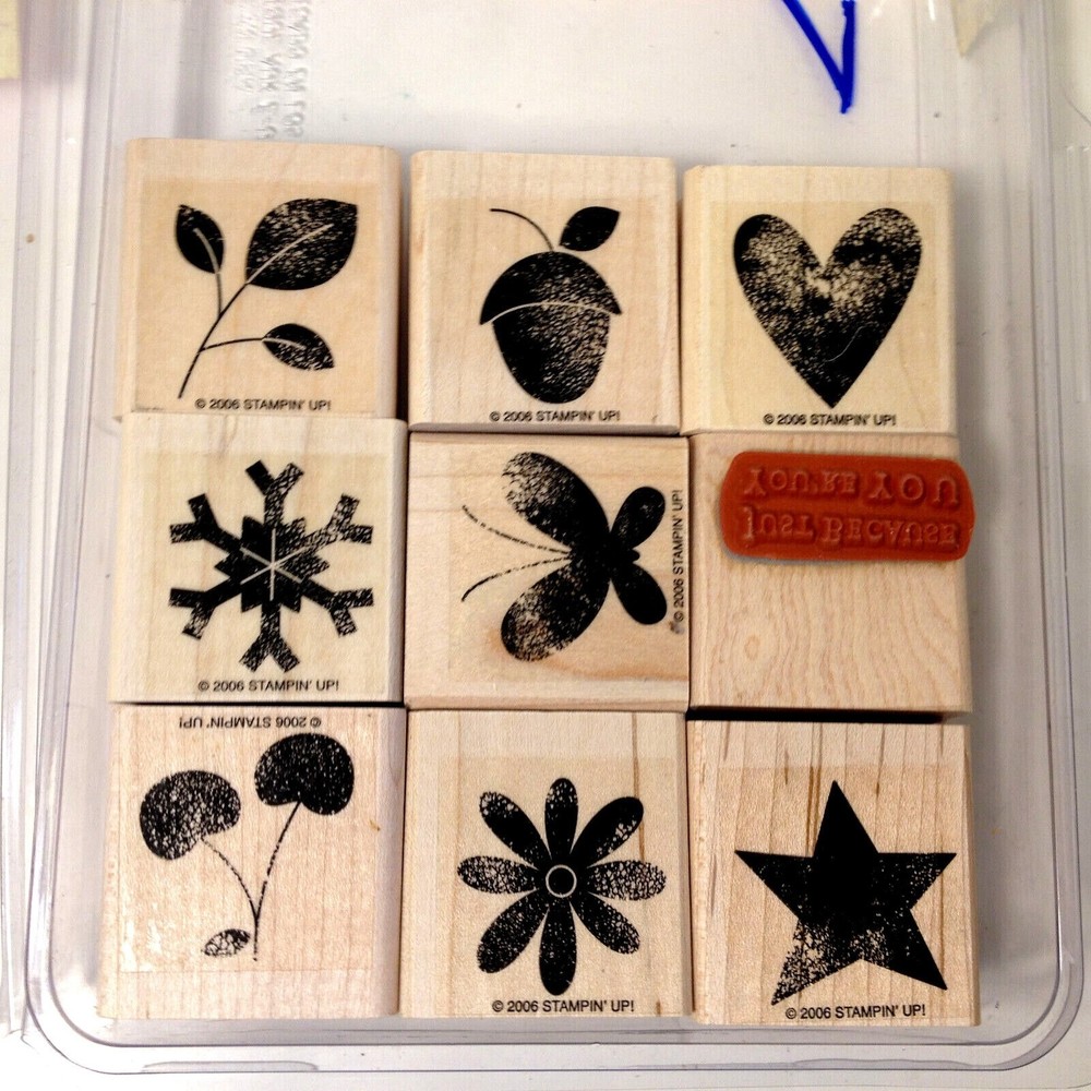 Stampin’ Up 2 Complete Sets All through the Year & Notes for You 113890 10 Tags